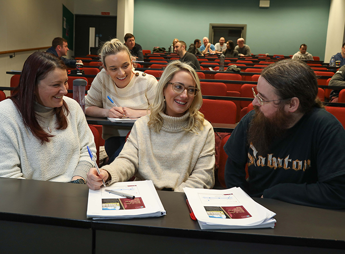 Seirbh&iacute;s&iacute; do Mhic L&eacute;inn