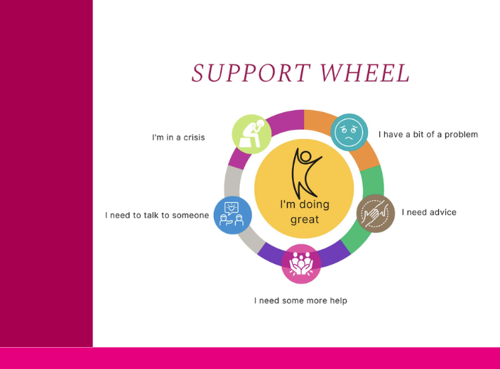 Seirbh&iacute;s&iacute; do Mhic L&eacute;inn